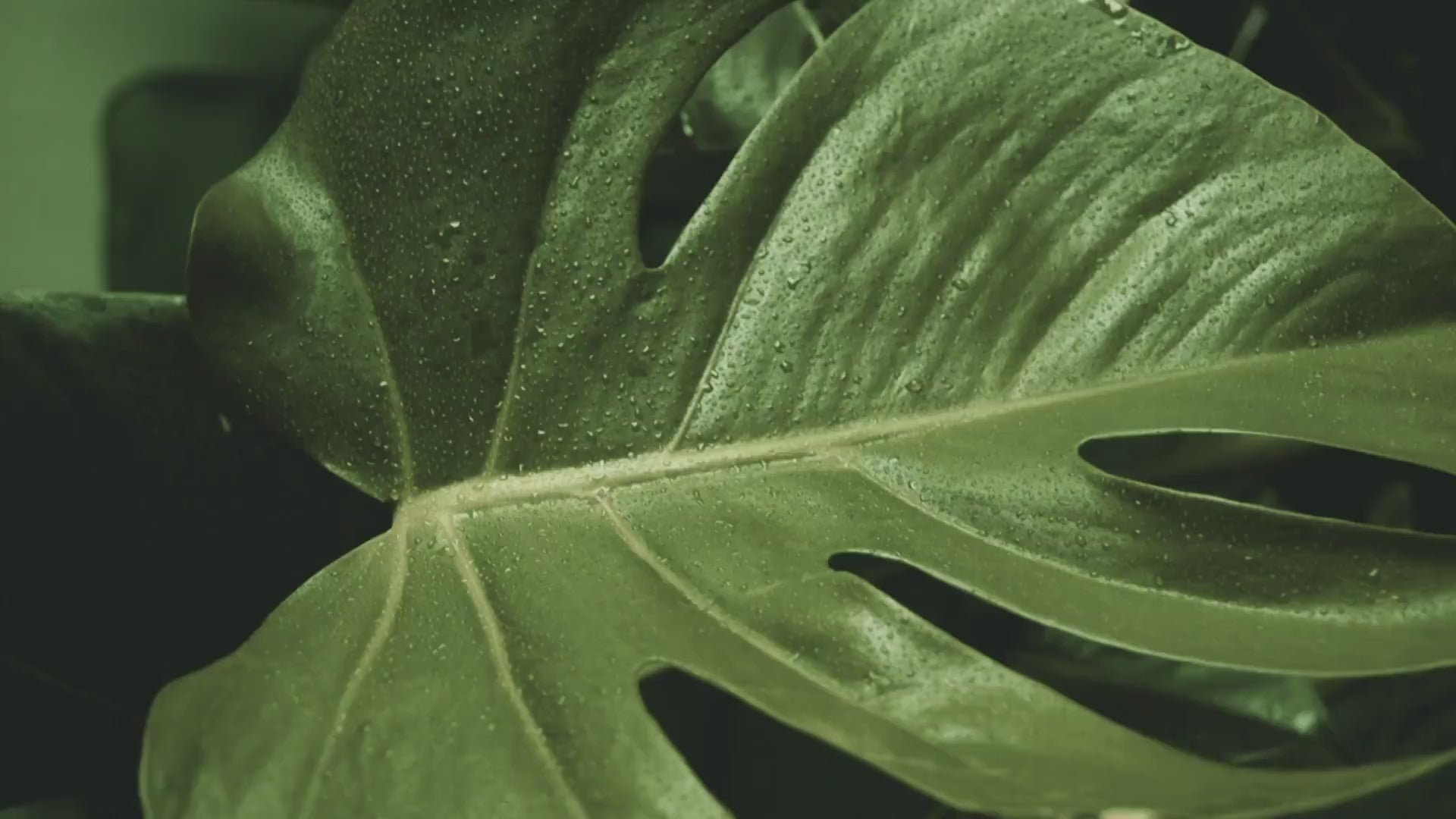 484a2b96f29b4e1d8997a7729ca396f7