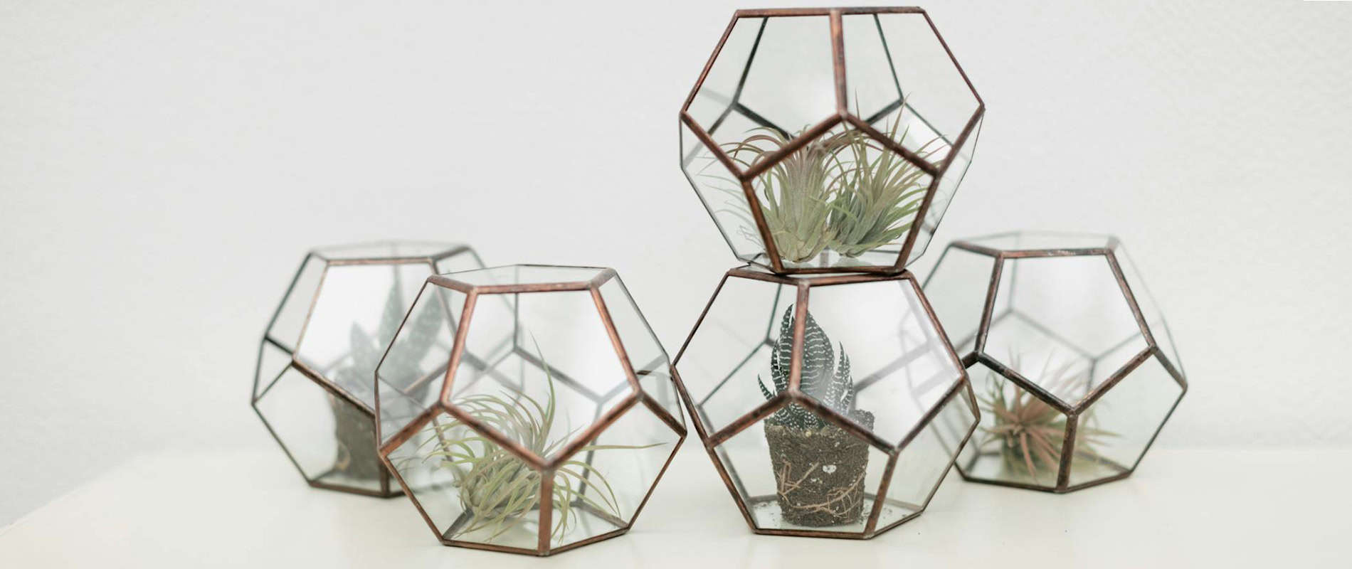 Terrariums