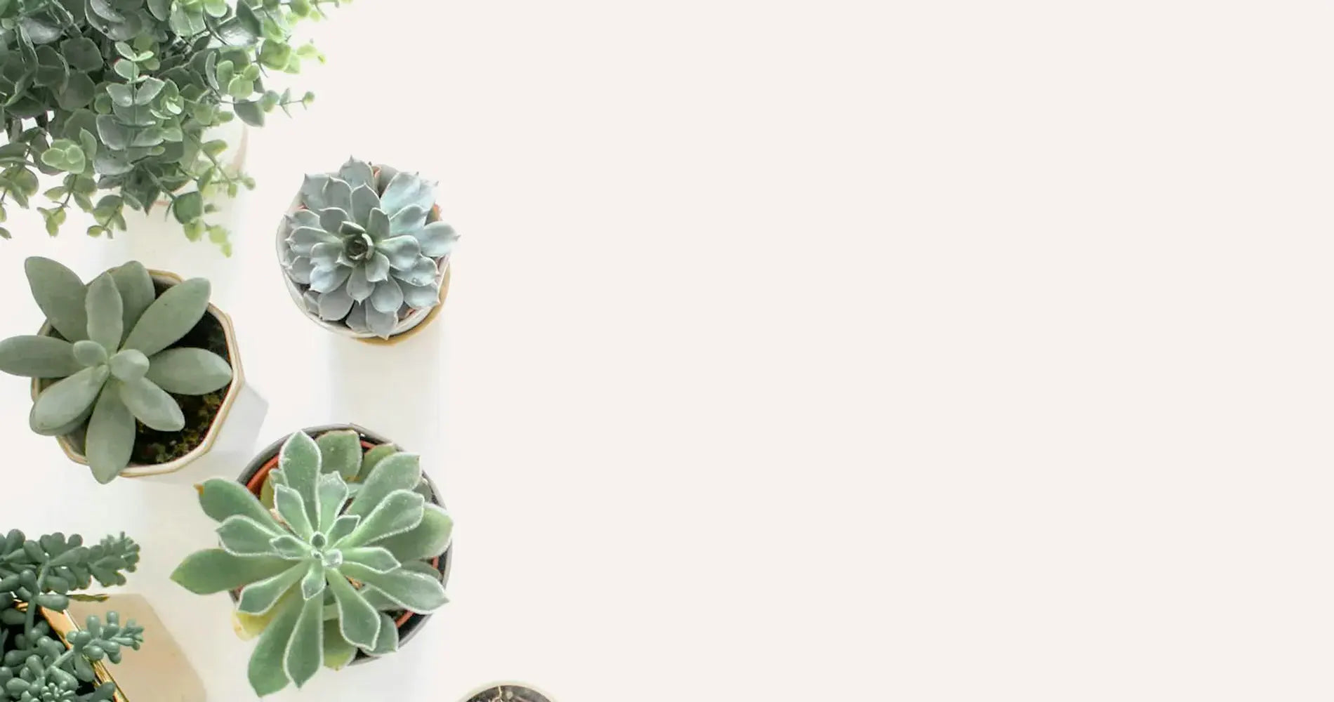 Bespoke home garden theme product slide 1 rtl