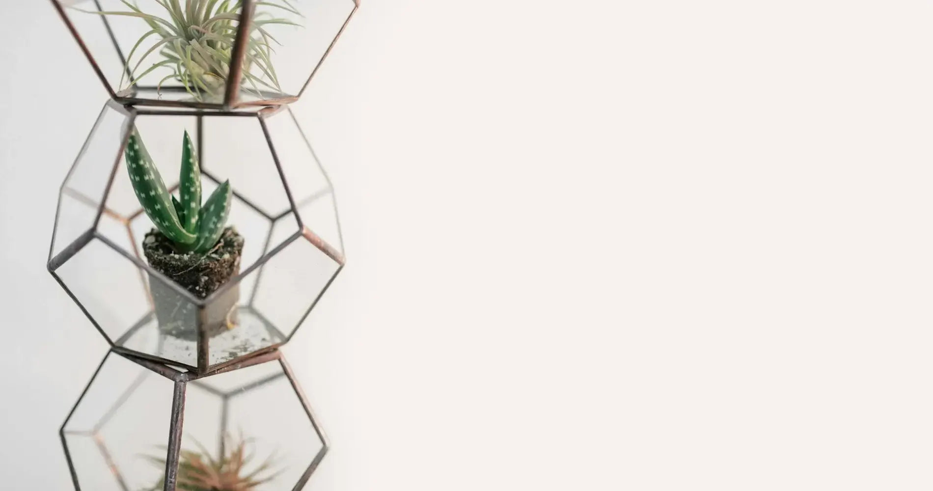 Bespoke home garden theme product slide 2 rtl