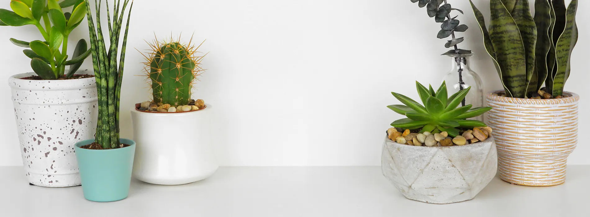 Bespoke home garden theme slideshow 1