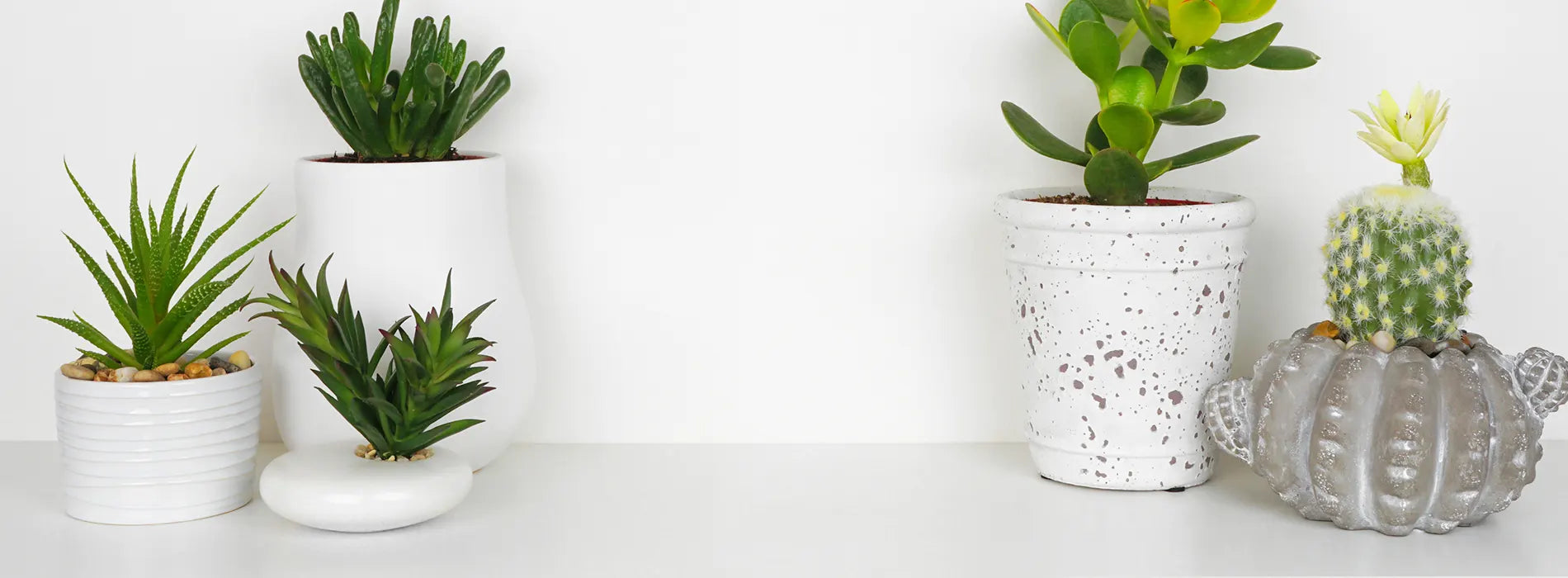 Bespoke home garden theme slideshow 2