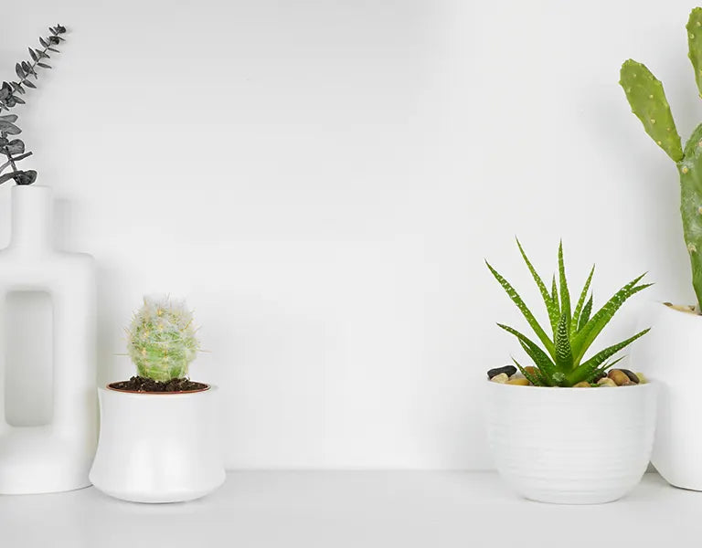 Bespoke home garden theme slideshow mobile 3