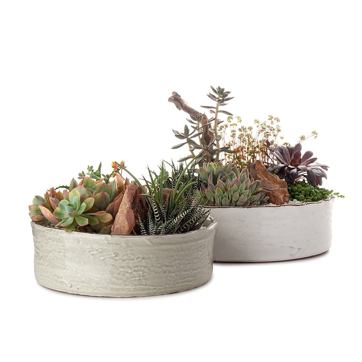 Dramatic Desertscape Dish Planter thumbnail