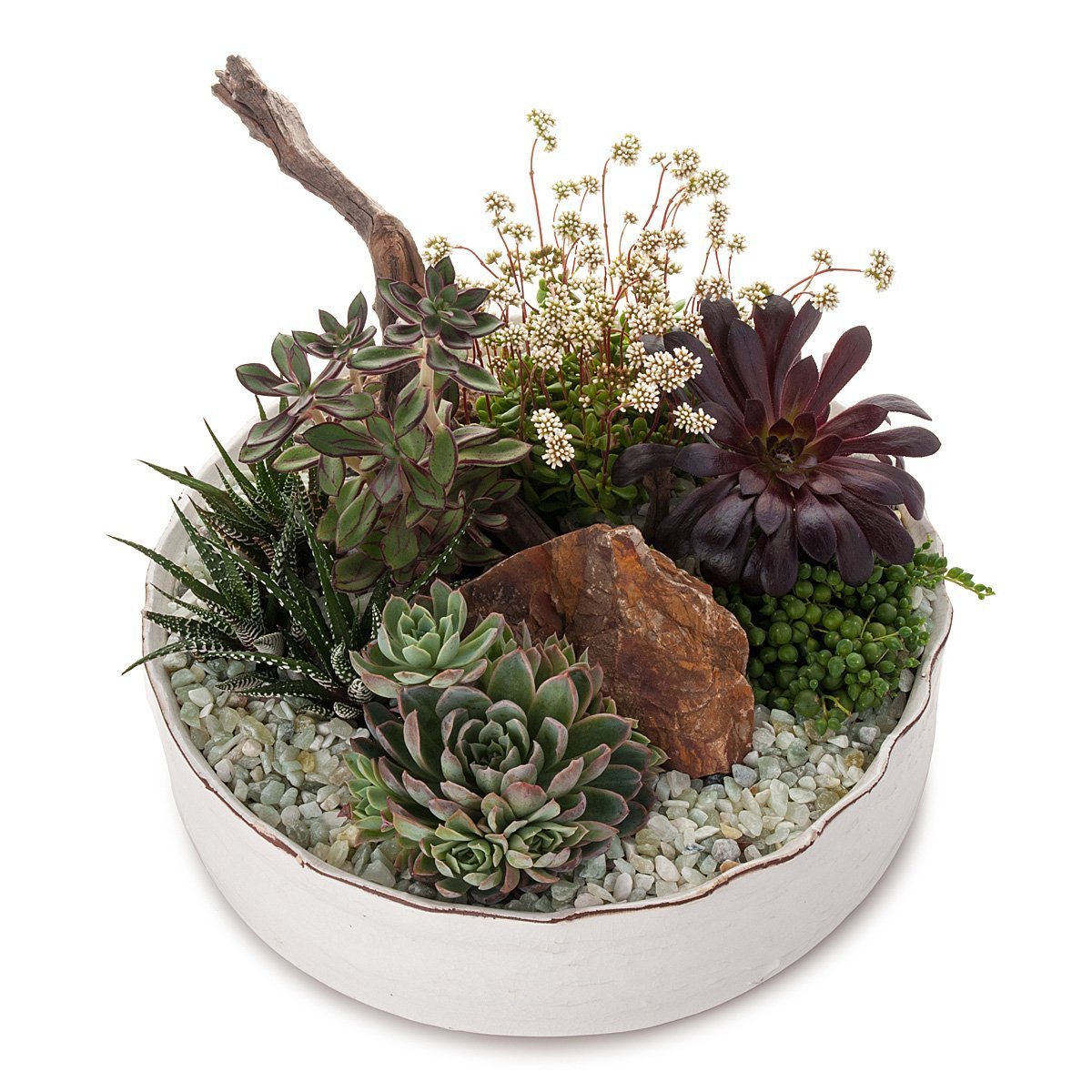 Dramatic Desertscape Dish Planter thumbnail