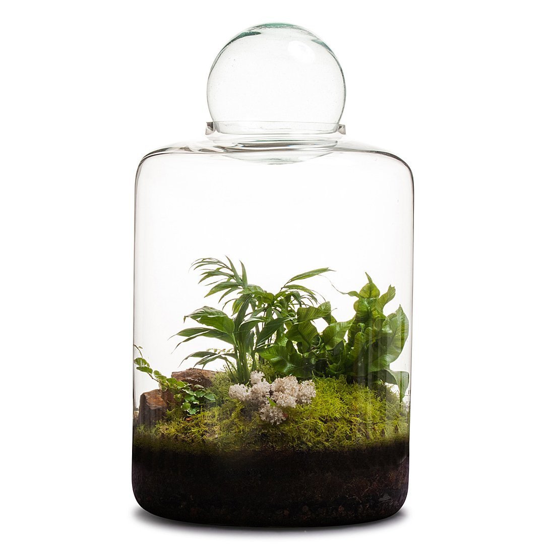 Garden of Eden Terrarium صورة مصغرة