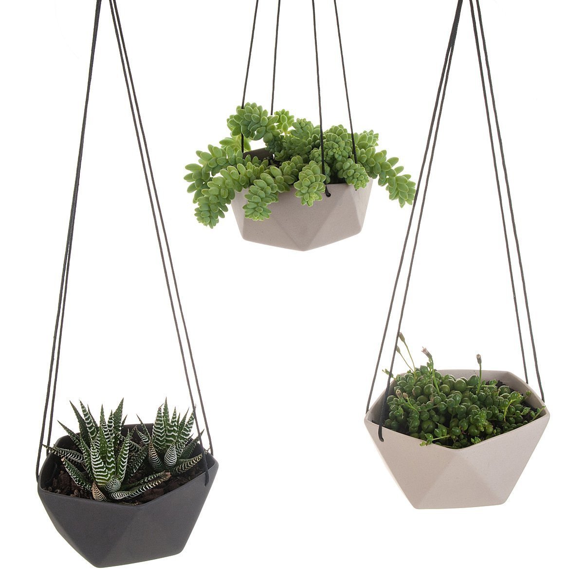 Geo Succulents Hanging Planter  miniatura