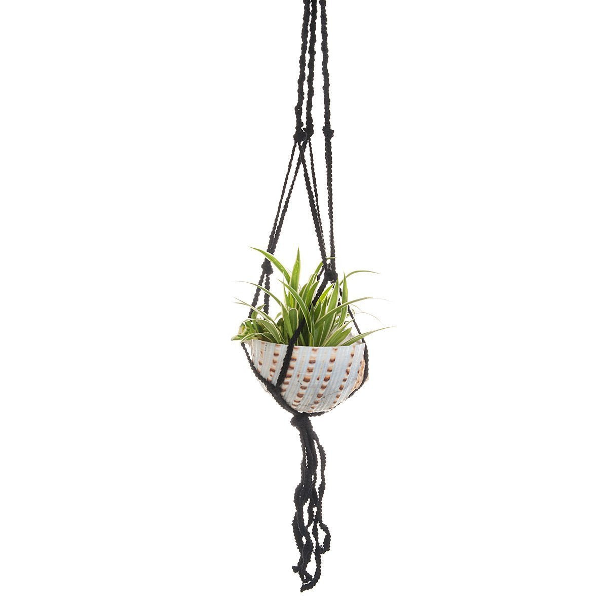Macramé Shell Hanging Planter  thumbnail