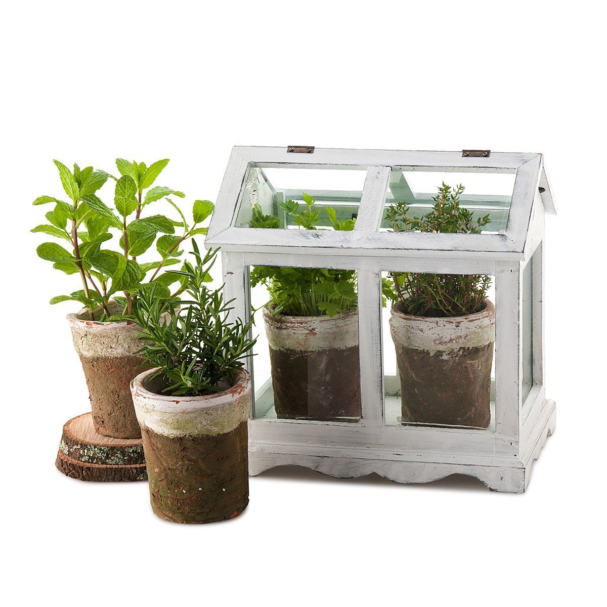 Mini Herb Greenhouse thumbnail