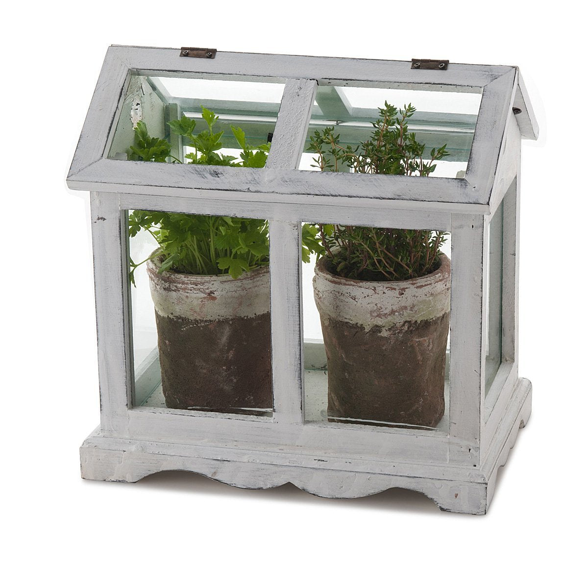Mini Herb Greenhouse thumbnail
