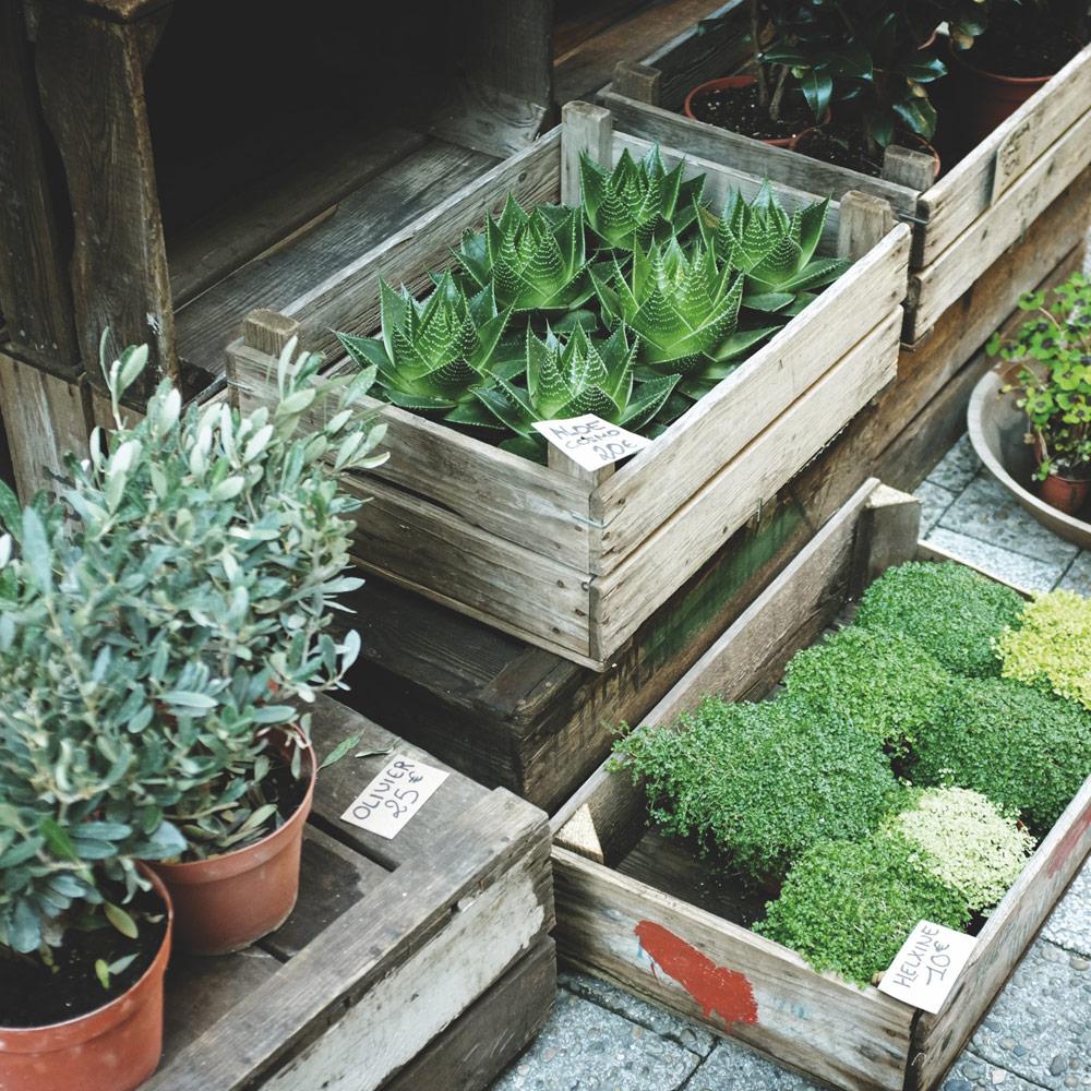 Service de jardinage à domicile