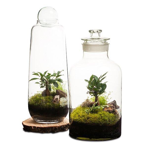 15L Apothecary Terrarium la vignette