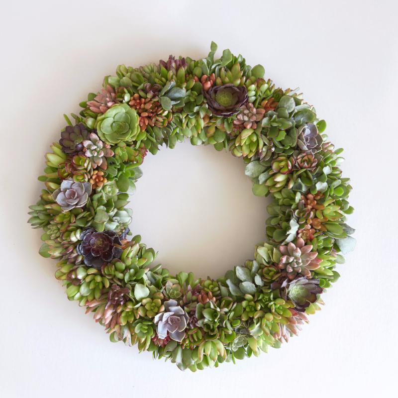 Succulent Wreath Kit